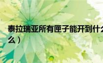 泰拉瑞亚所有匣子能开到什么（泰拉瑞亚各种匣子能开出什么）