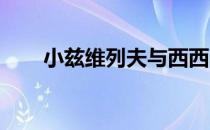 小兹维列夫与西西帕斯会师男单决赛