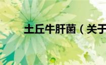 土丘牛肝菌（关于土丘牛肝菌简介）
