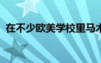 在不少欧美学校里马术都是体育课中的必修