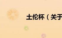 土伦杯（关于土伦杯简介）