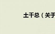 土千总（关于土千总简介）
