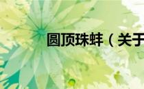 圆顶珠蚌（关于圆顶珠蚌简介）