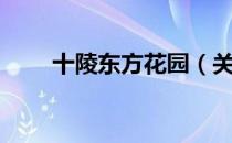 十陵东方花园（关于十陵东方花园）