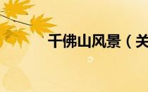 千佛山风景（关于千佛山风景）