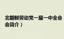北朝鲜劳动党一届一中全会（关于北朝鲜劳动党一届一中全会简介）