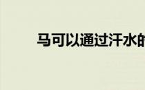 马可以通过汗水的气味来辨别情绪