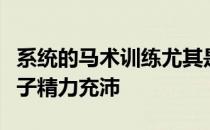 系统的马术训练尤其是长期户外运动可以让孩子精力充沛