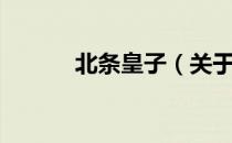 北条皇子（关于北条皇子简介）