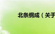 北条纲成（关于北条纲成简介）