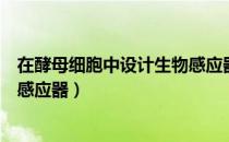 在酵母细胞中设计生物感应器（关于在酵母细胞中设计生物感应器）