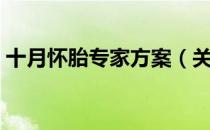 十月怀胎专家方案（关于十月怀胎专家方案）