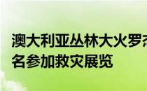 澳大利亚丛林大火罗杰费德勒和小威廉姆斯报名参加救灾展览