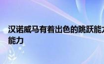 汉诺威马有着出色的跳跃能力富有弹性的步伐和聪颖的学习能力