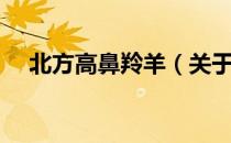 北方高鼻羚羊（关于北方高鼻羚羊简介）