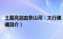 土匪亮剑血祭山河：太行魂（关于土匪亮剑血祭山河：太行魂简介）