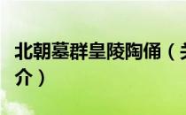北朝墓群皇陵陶俑（关于北朝墓群皇陵陶俑简介）