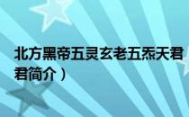 北方黑帝五灵玄老五炁天君（关于北方黑帝五灵玄老五炁天君简介）