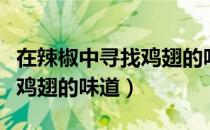 在辣椒中寻找鸡翅的味道（关于在辣椒中寻找鸡翅的味道）