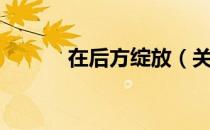 在后方绽放（关于在后方绽放）