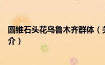 圆锥石头花乌鲁木齐群体（关于圆锥石头花乌鲁木齐群体简介）