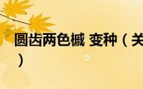 圆齿两色槭 变种（关于圆齿两色槭 变种简介）