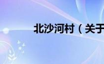 北沙河村（关于北沙河村简介）