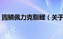 圆鳞佩力克脂鲤（关于圆鳞佩力克脂鲤简介）