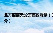 北方葡萄无公害高效栽培（关于北方葡萄无公害高效栽培简介）