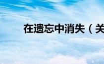 在遗忘中消失（关于在遗忘中消失）