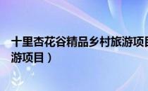 十里杏花谷精品乡村旅游项目（关于十里杏花谷精品乡村旅游项目）