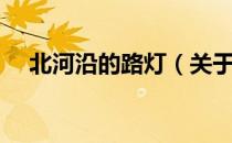 北河沿的路灯（关于北河沿的路灯简介）