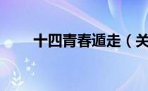 十四青春遁走（关于十四青春遁走）