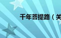 千年菩提路（关于千年菩提路）