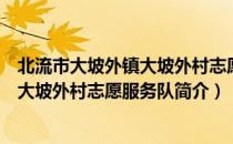 北流市大坡外镇大坡外村志愿服务队（关于北流市大坡外镇大坡外村志愿服务队简介）