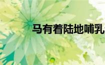 马有着陆地哺乳动物最大的眼睛