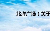 北洋广场（关于北洋广场简介）