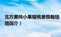 北方美味小果樱桃番茄栽培（关于北方美味小果樱桃番茄栽培简介）