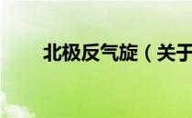 北极反气旋（关于北极反气旋简介）