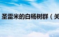 圣雷米的白杨树群（关于圣雷米的白杨树群）