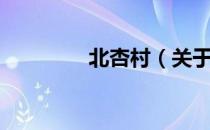 北杏村（关于北杏村简介）