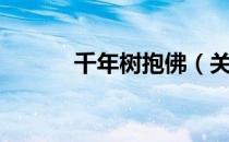 千年树抱佛（关于千年树抱佛）