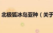北极狐冰岛亚种（关于北极狐冰岛亚种简介）