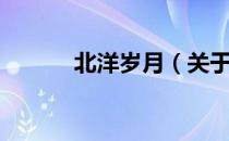 北洋岁月（关于北洋岁月简介）