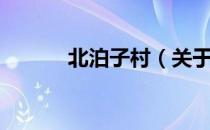 北泊子村（关于北泊子村简介）