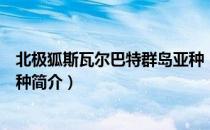 北极狐斯瓦尔巴特群岛亚种（关于北极狐斯瓦尔巴特群岛亚种简介）