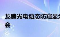 龙腾光电动态防窥显示技术亮相电子信息博览会