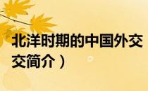北洋时期的中国外交（关于北洋时期的中国外交简介）