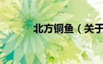 北方铜鱼（关于北方铜鱼简介）