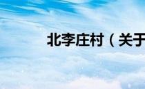 北李庄村（关于北李庄村简介）